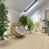 Комнатные растения в интерьере квартиры (112 фото)