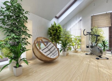Комнатные растения в интерьере квартиры (112 фото)