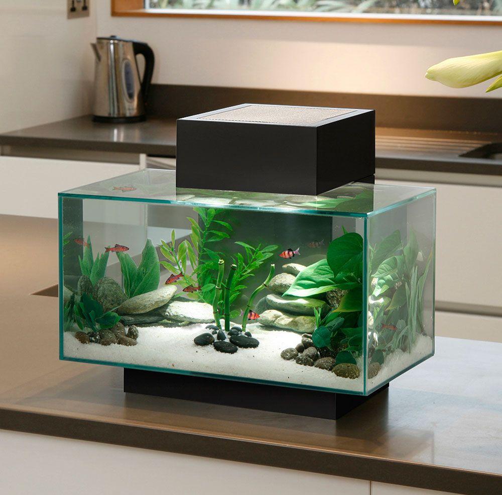 Декор для аквариума маленького