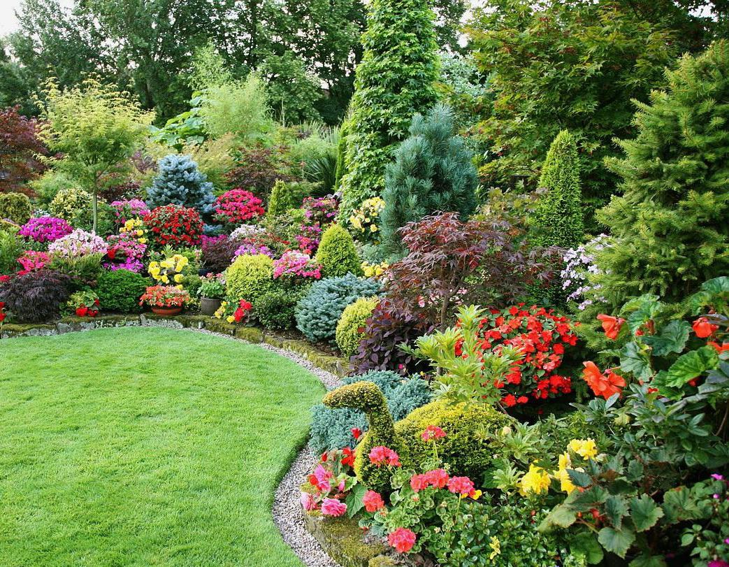 Роскошные кустарники и цветы на участке