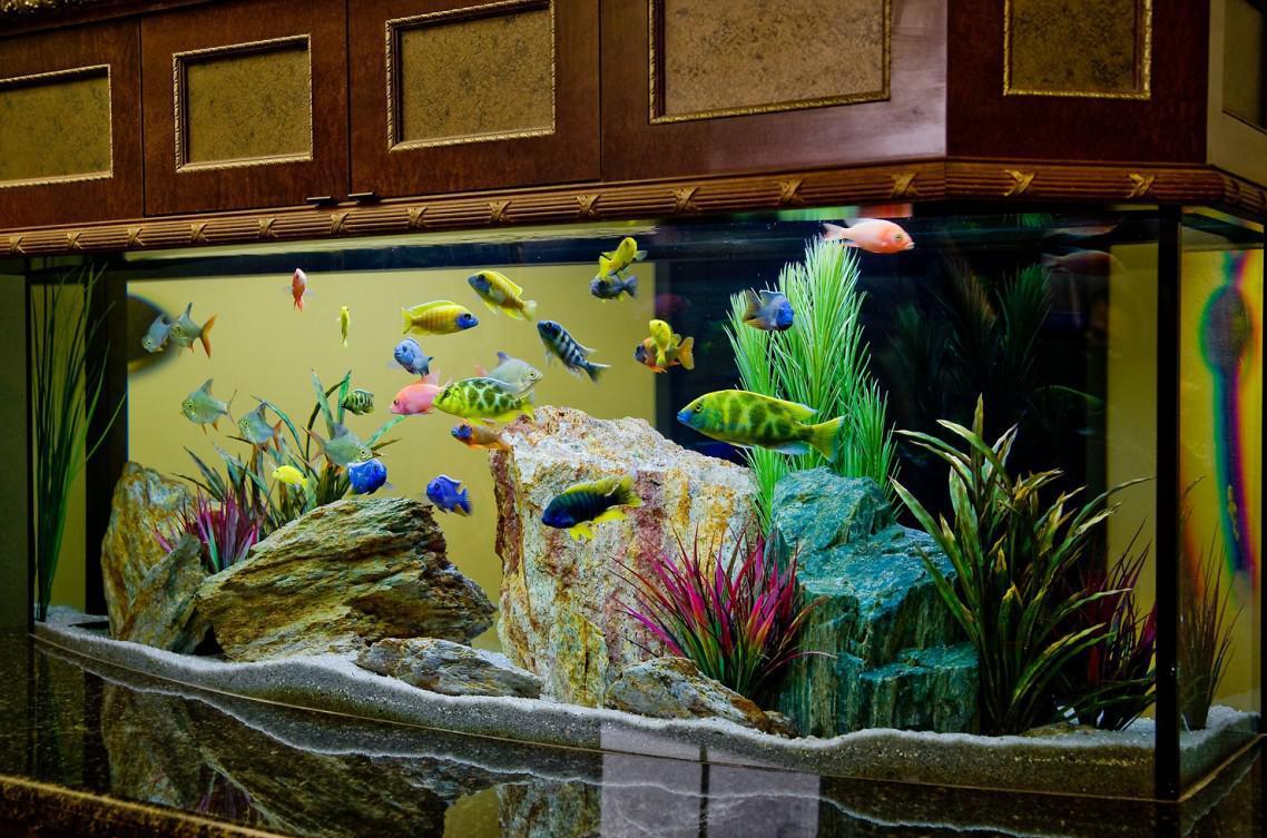 Как сделать декорации для аквариума?