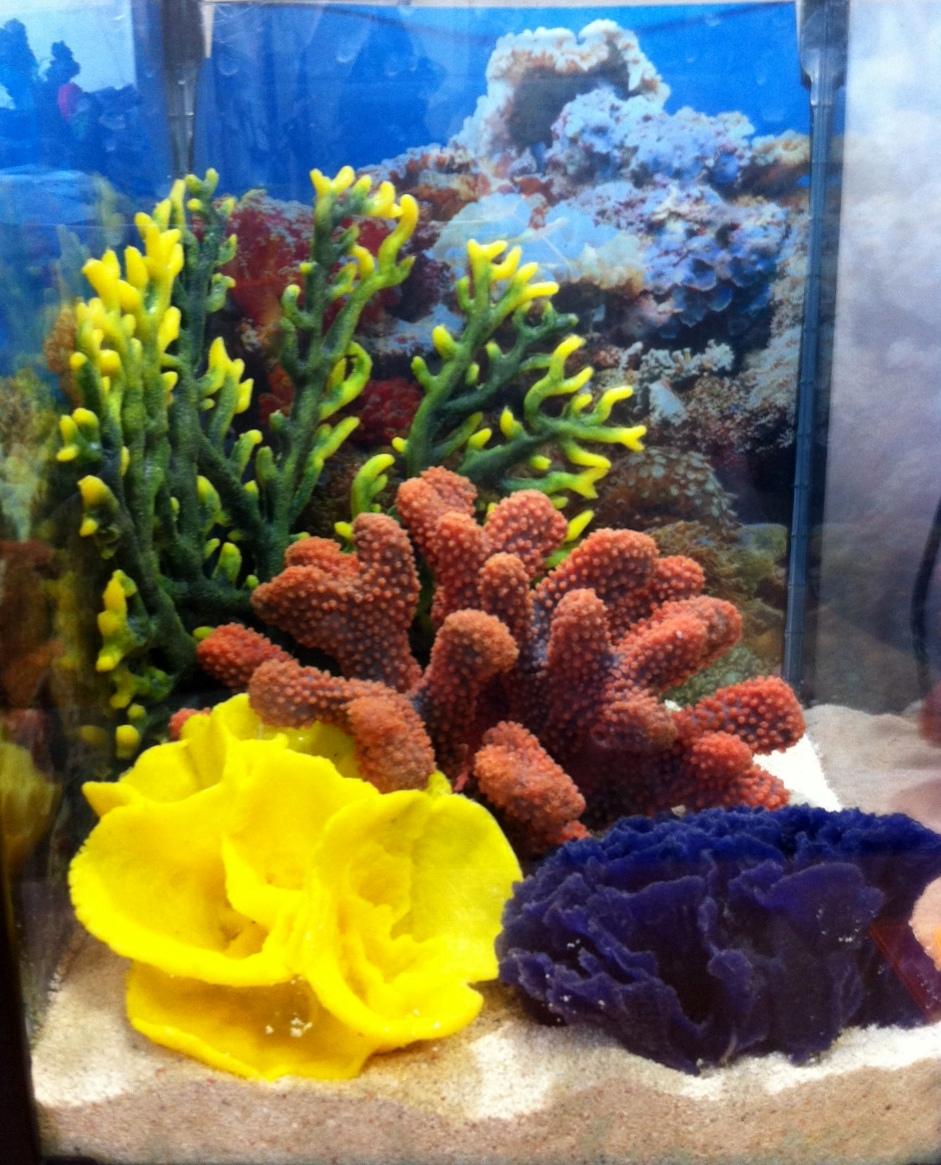 Декор аквариума камнями и кораллами