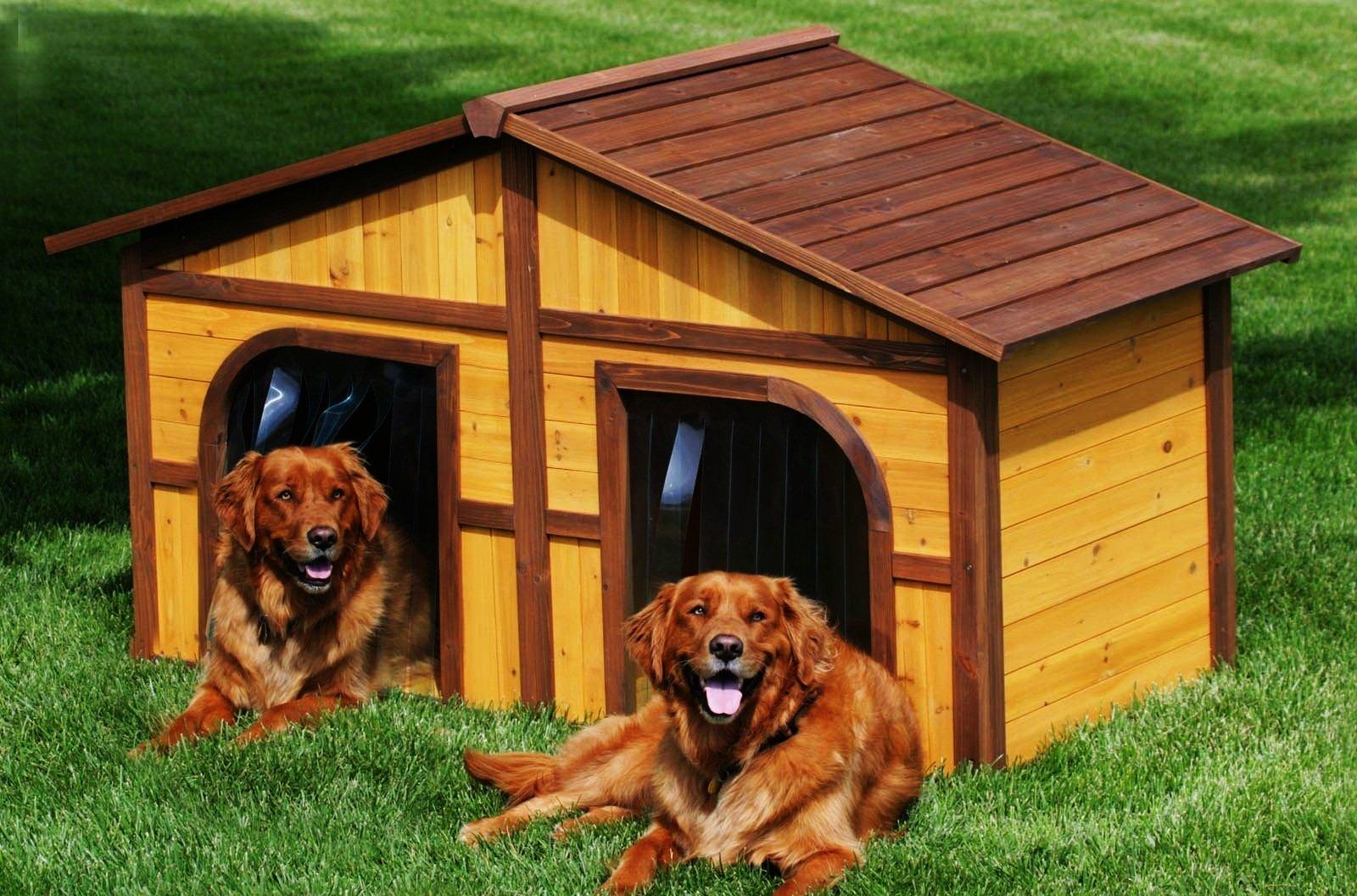 Двойная будка для собак