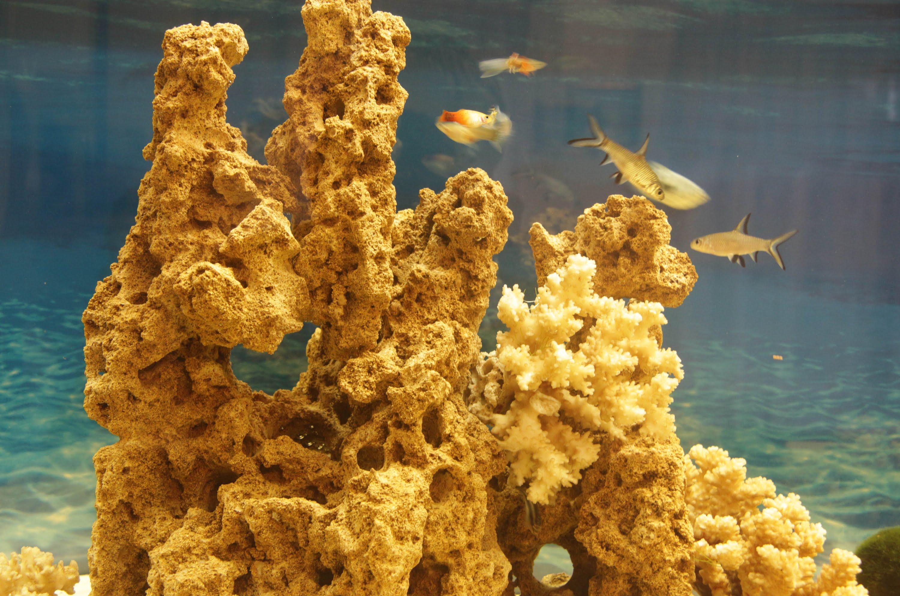 Декоративный коралл для аквариума
