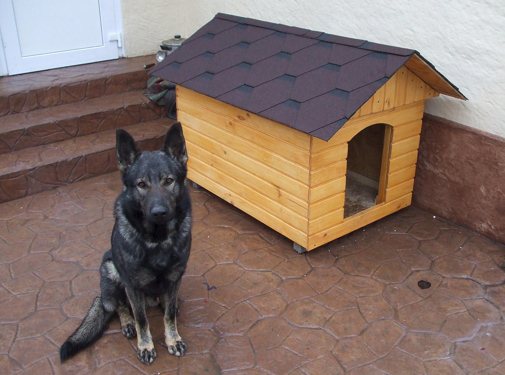 Будка для собаки с двухскатной крышей и вагонкой