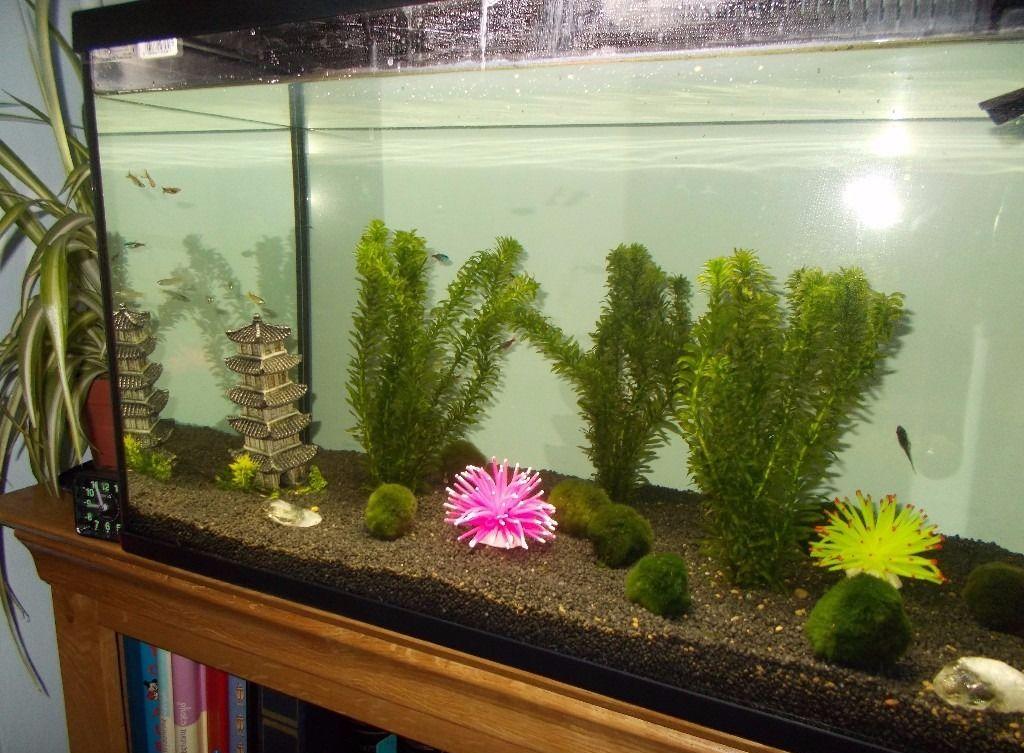 Декор для аквариума с растениями