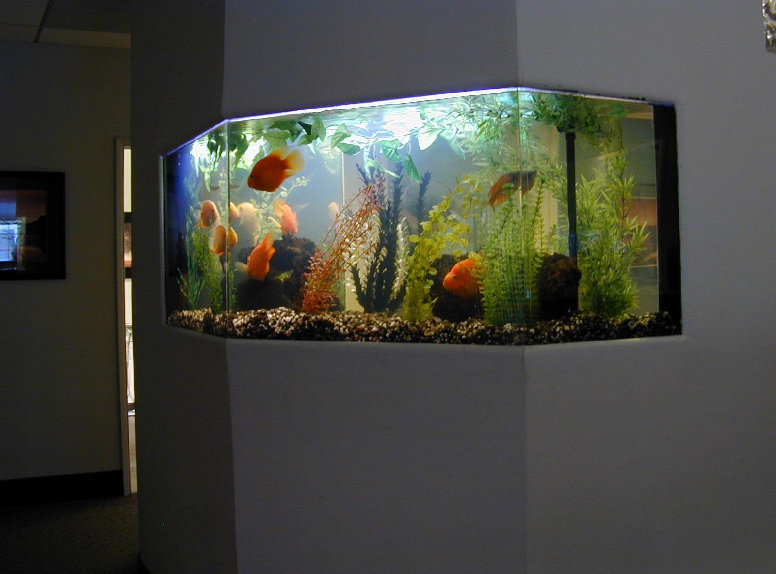 Декор для аквариума в прихожей
