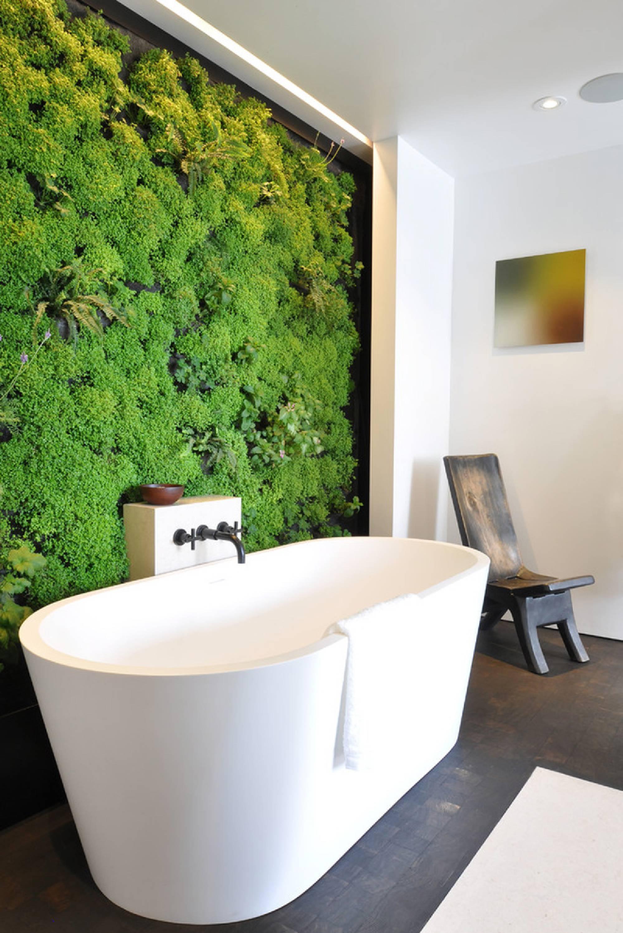 Вертикальное озеленение в ванной