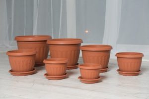 Горшки для цветов: большие, напольные, керамические для офисных и ...