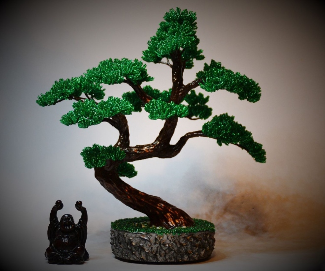 Японское дерево или вечнозеленый бонсай